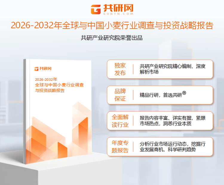 2026年中国小麦市场现状分析：从“产量